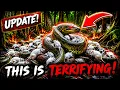 300 000 Giant Pythons vs POISONED Mice Florida s Wildest Plan Yet