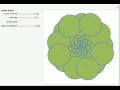 Phyllotaxis Explained