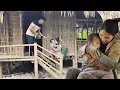 Lagu The ex-wife burst into tears when Phuong unexpectedly brought their child to visit her.