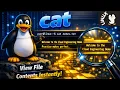 Common Cloud Linux Commands cat Command