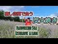 Download Lagu 癒しのひと時Pratovecchio Stia Ristrante La RANA