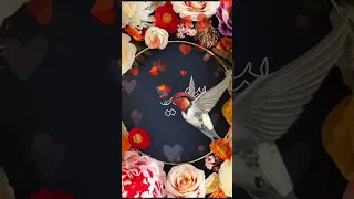 حالة باسم سمية معا اغنية جميلة حب رومنسية السعودية المغرب حبيبي 