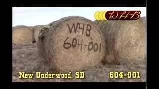 2015 2nd Cutting Alfalfa 5x5 Rounds for Sale - New Underwood SD