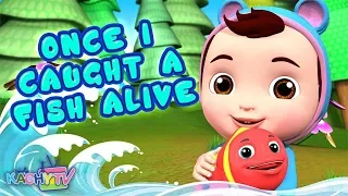 Download 12345 Once I Caught A Fish Alive | + More Nursery Rhymes for Babies | Kachy TV Kids Songs MP3