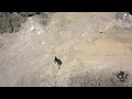 Petit Biscuit - Sunset Lover (Orchestral) (Music Video)