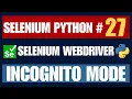 Selenium Python Incognito Mode Browser