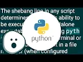 Should I put shebang in Python scripts and what form should it take