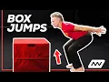 How to Box Jump for Beginners Shane Heins