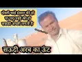 Download Lagu Dosti Chahe Insan ki ho ya Pashu pakshi ki ho Sabki acchi Lagti Hai Saudi Arab ka unt