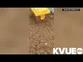 Truck carrying 2M bees crashes Sunday in Orange County Texas