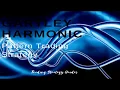 Gartley Harmonic Pattern Trading Strategy