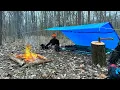Camping with my dog under a Blue Home Depot Tarp MORNING RAIN