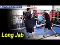 Long Jab by Brian Bomac McIntyre and Jamel Herring