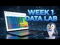 Intro to Stats Week 1 Data Lab Guide Google Sheets NOIR Random Sampling