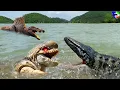 Download Lagu SPINOSAURUS \u0026 MOSASAURUS VS D-REX 🦖 Underwater Batlle | Jurassic World Rebirth