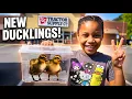 Tractor Supply Ducklings My Best pet purchase 2026