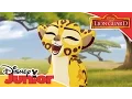 Lagu The Lion Guard - 'My Own Way' Music Video | Official Disney Junior Africa
