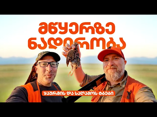 მწყერზე ნადირობა ყაურმის და საღამოს ტბებთან