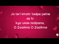 Stereo x Zaalima