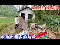 Download Lagu 為了過農村田園生活，加急打掃房間，收拾出超多的垃圾，這環境也太適合放鬆了