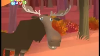 frannys feet moose
