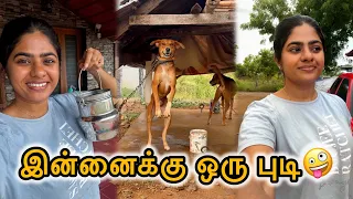 ஆடி மாதம் vibe | ஜாலியோ ஜாலி | டோலு போலு உடன் |