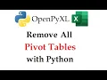 Python OpenPyXL Tutorial Removing Pivot Tables Fast