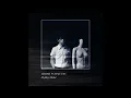 Harsh Symmetry - Skin