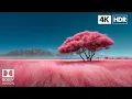Download Lagu Unreal Relaxing Nature Views | 4K HDR Dolby Vision at 60FPS