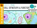 Unit 2 1 - Cell Structure Function In A Nutshell