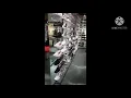 Snipes Shop Tour Branded shoes
