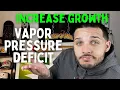 This Will Help Your Plants GROW - Vapor Pressure Deficit for a Beginner VPD