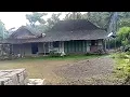 Download Lagu Silahturahmi kerumah suku Jawa yang hidup di desa pedalaman 