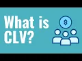 What is CLV Customer Lifetime Value Explained For Beginners - Formula Example Definition
