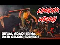 Download Lagu LAGU ANGKER!! LINGSIR WENGI NDADINE ERINA RATU CELENG SRENGGI JARANAN MANUNGGAL REKSO BUDOYO TERBARU