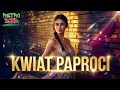 Lagu KWIAT PAPROCI - RETRO BAND 🎷❤️ - Muzyczne SPA 🎶 RETRO Piosenki aranże. Covery.