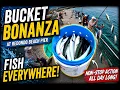Bucket Bonanza at Redondo Beach Pier Fish Everywhere
