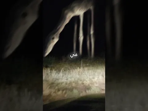 قصة the long horse الحقيقية 😨