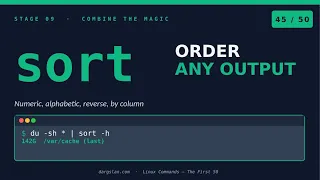 Linux Commands sort - sort Order Anything in Linux -n