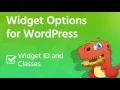 Add Custom WordPress Widget ID and Classes