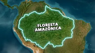 O Que Está Escondido Debaixo da Floresta Amazônica?