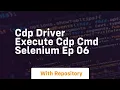 cdp driver execute cdp cmd selenium ep 06