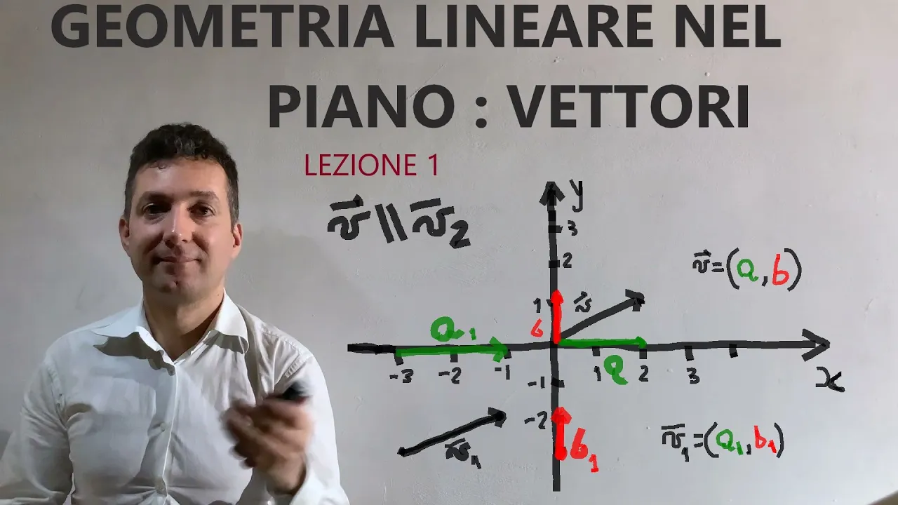 Geometria nel piano : vettori , prodotto scalare, componenti,vettori paralleli e perpendicolari .