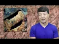 6 'Impossible' Fossils That Could COMPLETELY Rewrite Human History