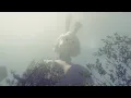 2B the big bouncy bunny