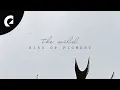 Download Lagu Bird of Figment - The Wild (Official EP) [Acoustic Songs]
