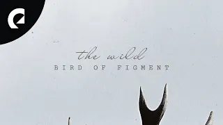 Download Bird of Figment - The Wild (Official EP) [Acoustic Songs] MP3