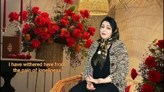 ای آشنای خوبم تا زوده برگرد موسیقی ترانه موزیک آهنگ جدید حمیرا 