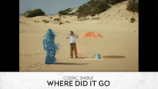 C3DRIC & Shibui - Where Did It Go