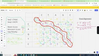 Global and Local Alignment Bioinformatics Bangla